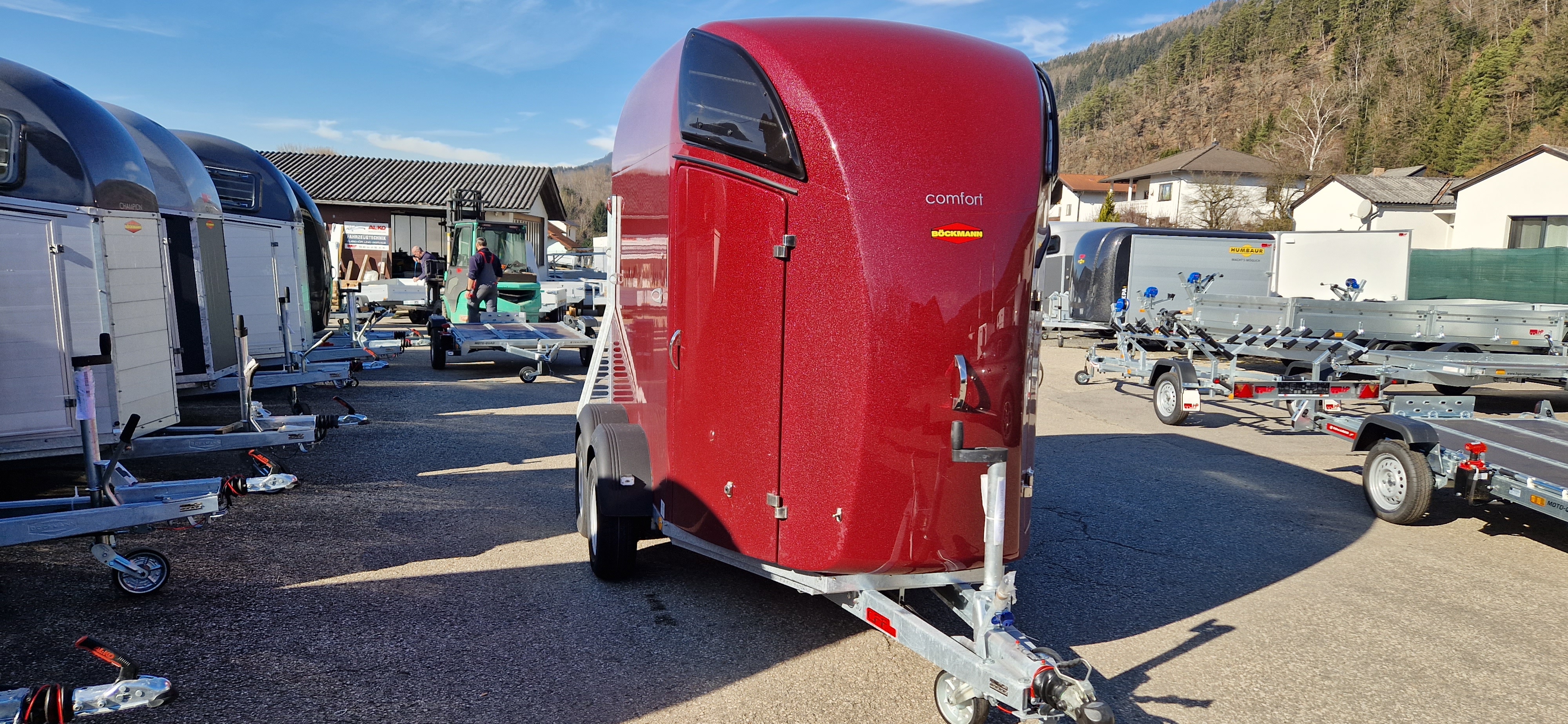 Pferdeanhänger, Böckmann Comfort, 2400 kg GG, Aufbau Poly, 2-Pferdeanhänger, Neu - Aktion